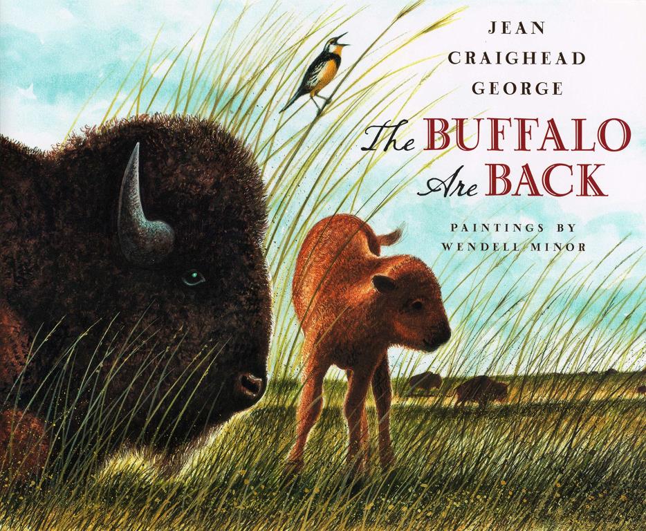 The buffalo are back(另開視窗)